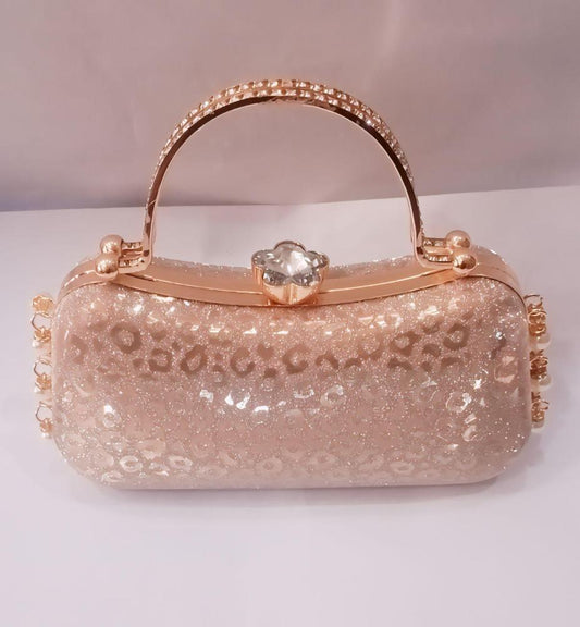 Women's Fancy Clutch