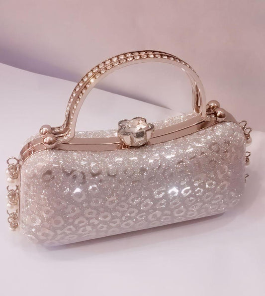 Women's Fancy Clutch